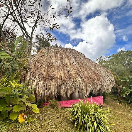 Sierra Alta Finca Boutique Villa Minca Exterior photo